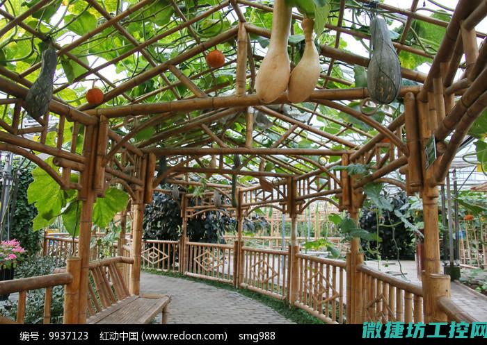 家庭果园菜谱 (家庭果园菜谱大全)