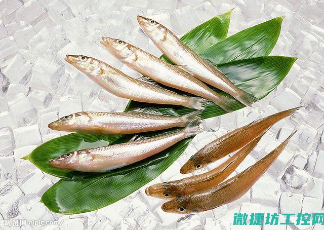 梅菉菜谱 (梅菜都怎样做法吃)