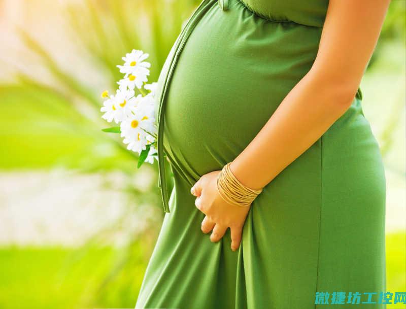 孕妇新式菜谱 (孕妇菜品)