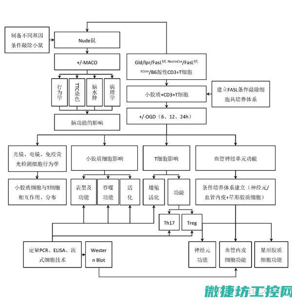 怎么查汽车摆臂故障 (怎么查看车子)