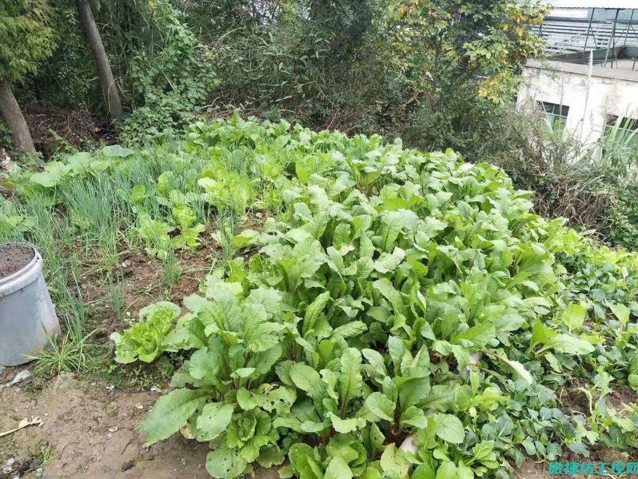 河鱼庄菜谱 (河鱼馆原汁原味怎么样)