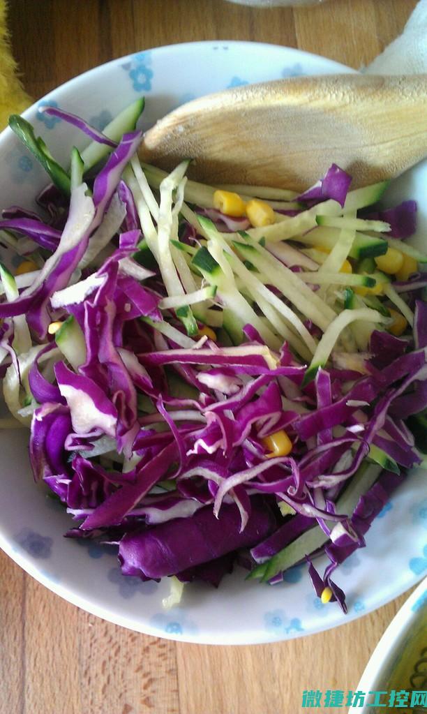 自制菜谱玩具 (自制蔬菜玩具)