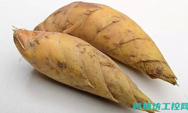 冬笋汤菜谱 (冬笋汤的做法大全)