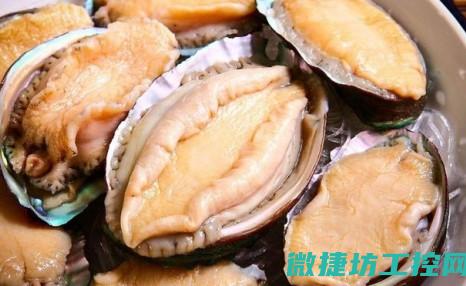 鲍鱼系列菜谱 (鲍鱼系列菜谱大全)