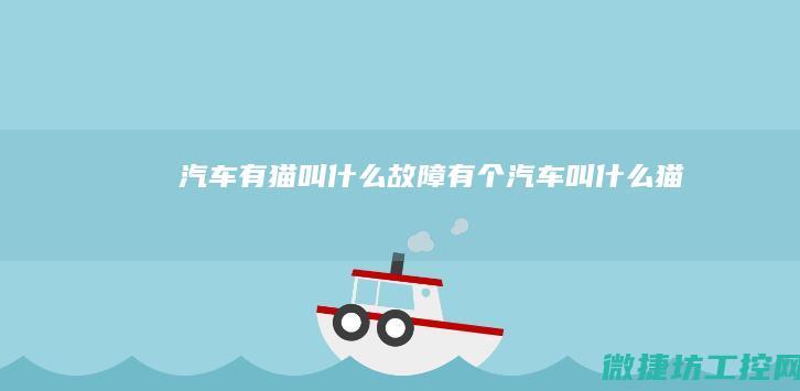 汽车有猫叫什么故障 (有个汽车叫什么猫)
