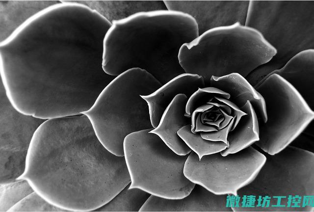 婚礼菜谱1000 (婚礼菜谱12个菜图片)