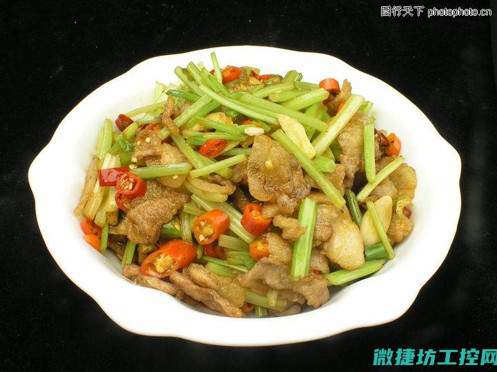 每天菜谱教程 (每日菜谱100例)