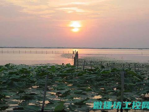 阳澄湖宴席菜谱 (阳澄湖宴席菜单大全)