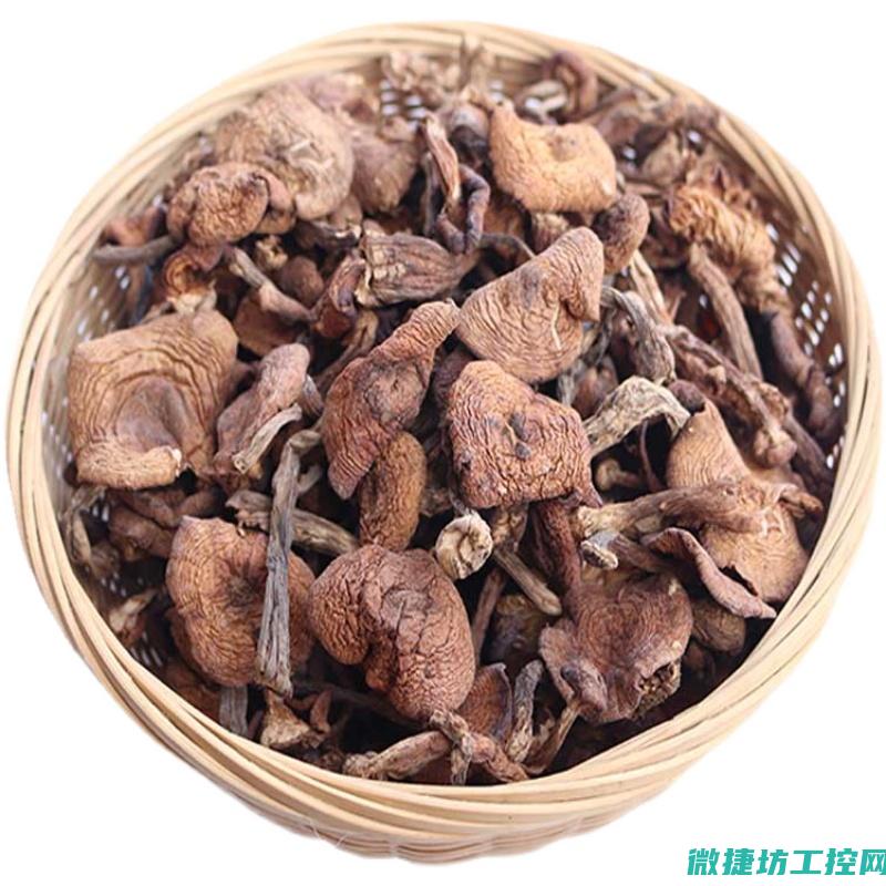 榛菇菜谱 (榛蘑的做法)