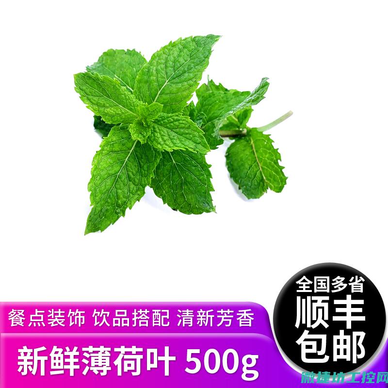 薄荷绿茶菜谱 (薄荷绿茶菜谱大全)