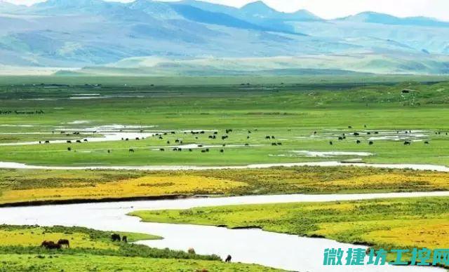 青海汽车故障诊断标准 (青海车图片)