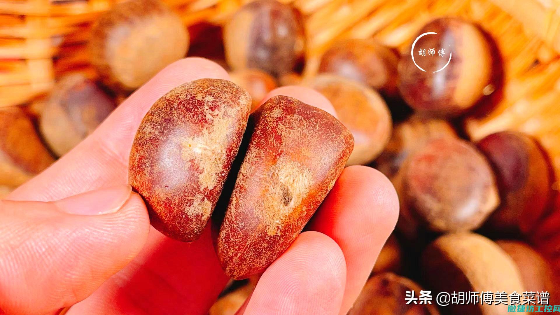 板栗鸽子菜谱 (板栗鸽子菜谱大全)