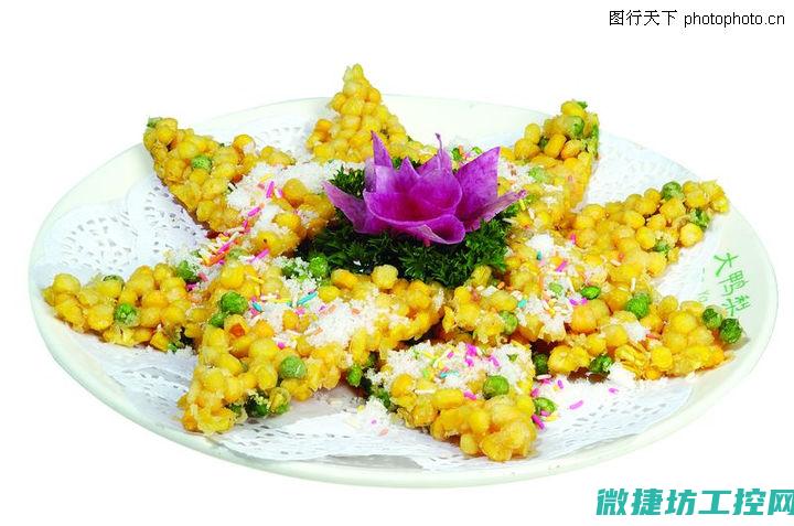 编家庭菜谱 (家庭500款菜谱)