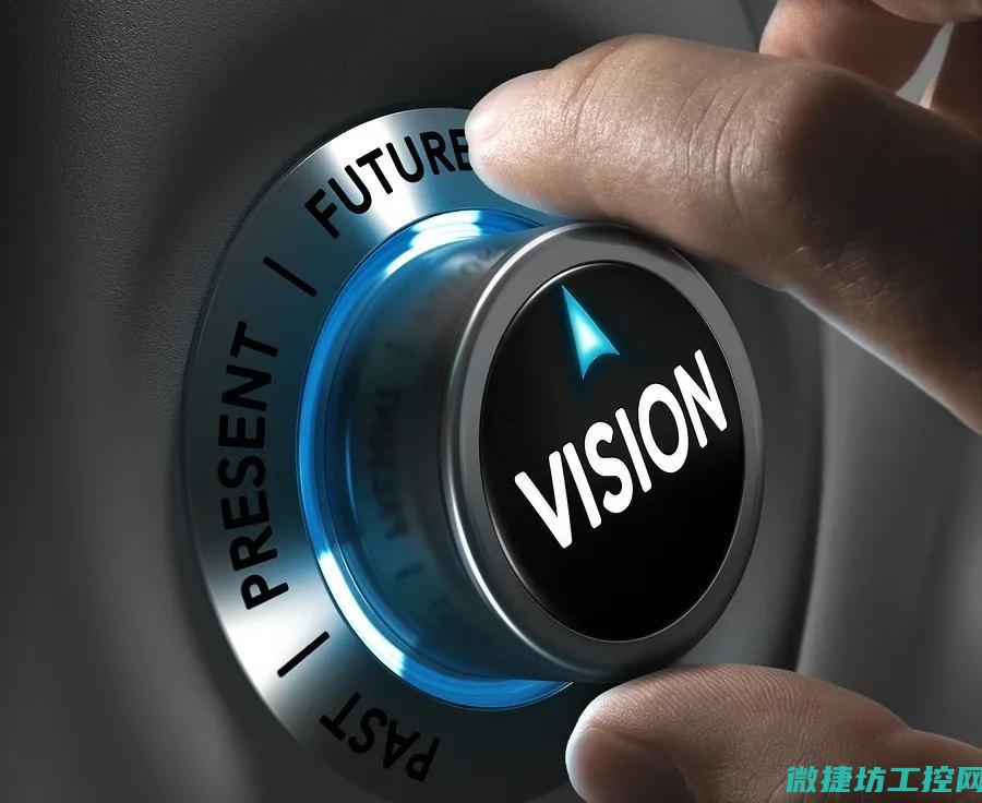 visions锅菜谱 (vision什么牌子)