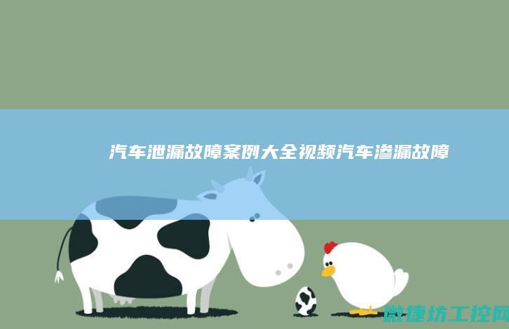 汽车泄漏故障案例大全视频 (汽车渗漏故障)