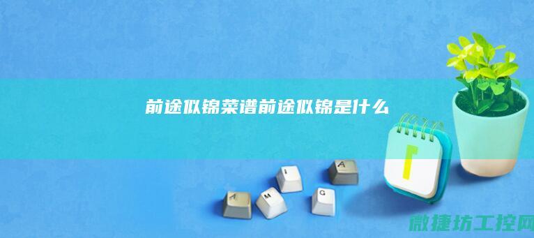 前途似锦前途似锦是什么