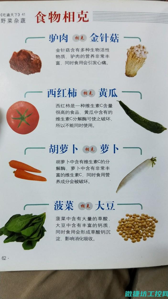 美食报菜谱 (美食菜单宣传海报手抄报)