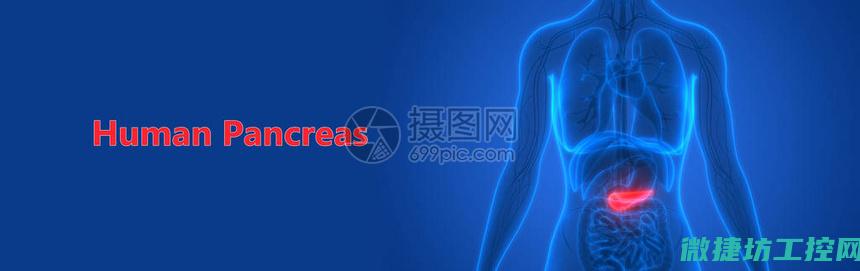 胰腺狗狗菜谱 (胰腺炎狗狗的饮食禁忌)