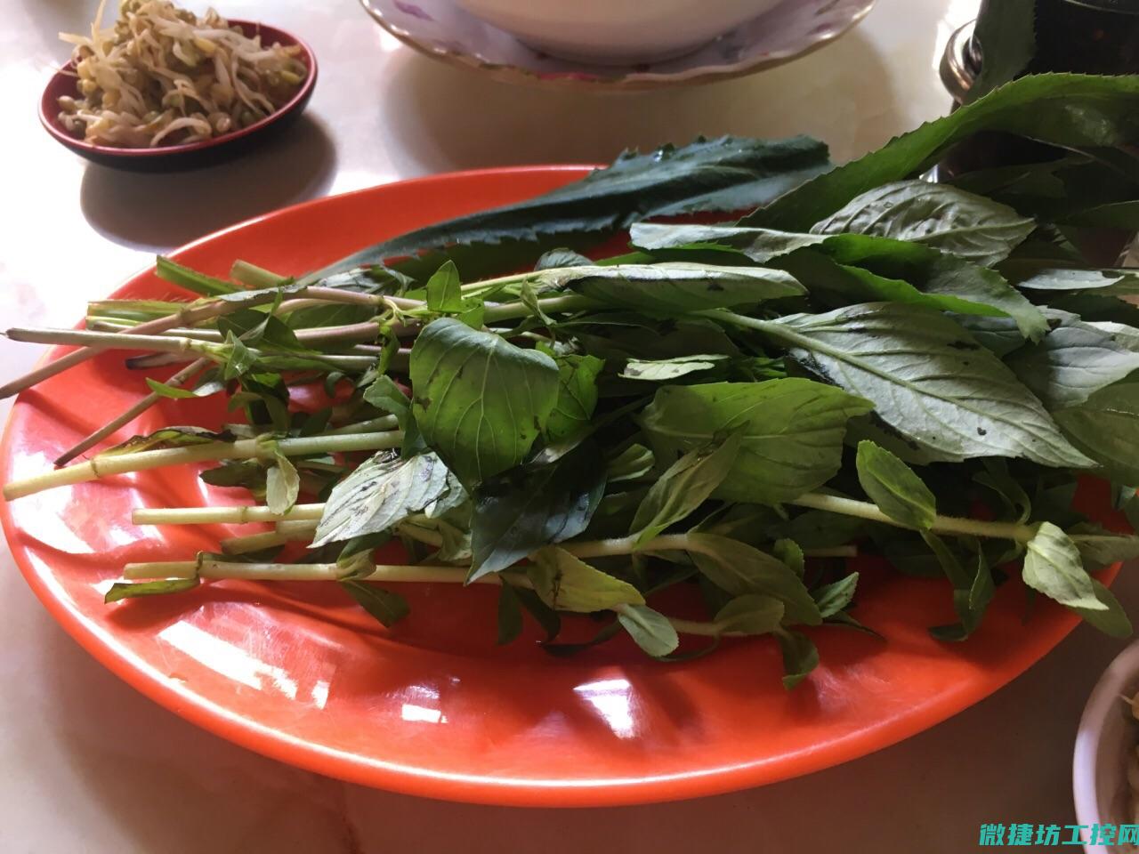 柬埔寨小孩吃播