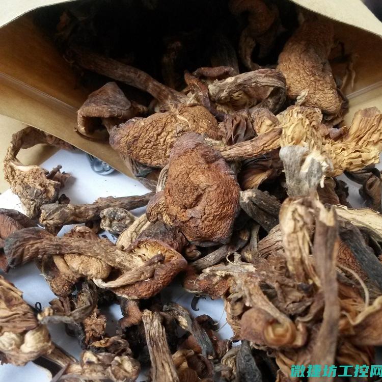 榛菇怎么炒着好吃