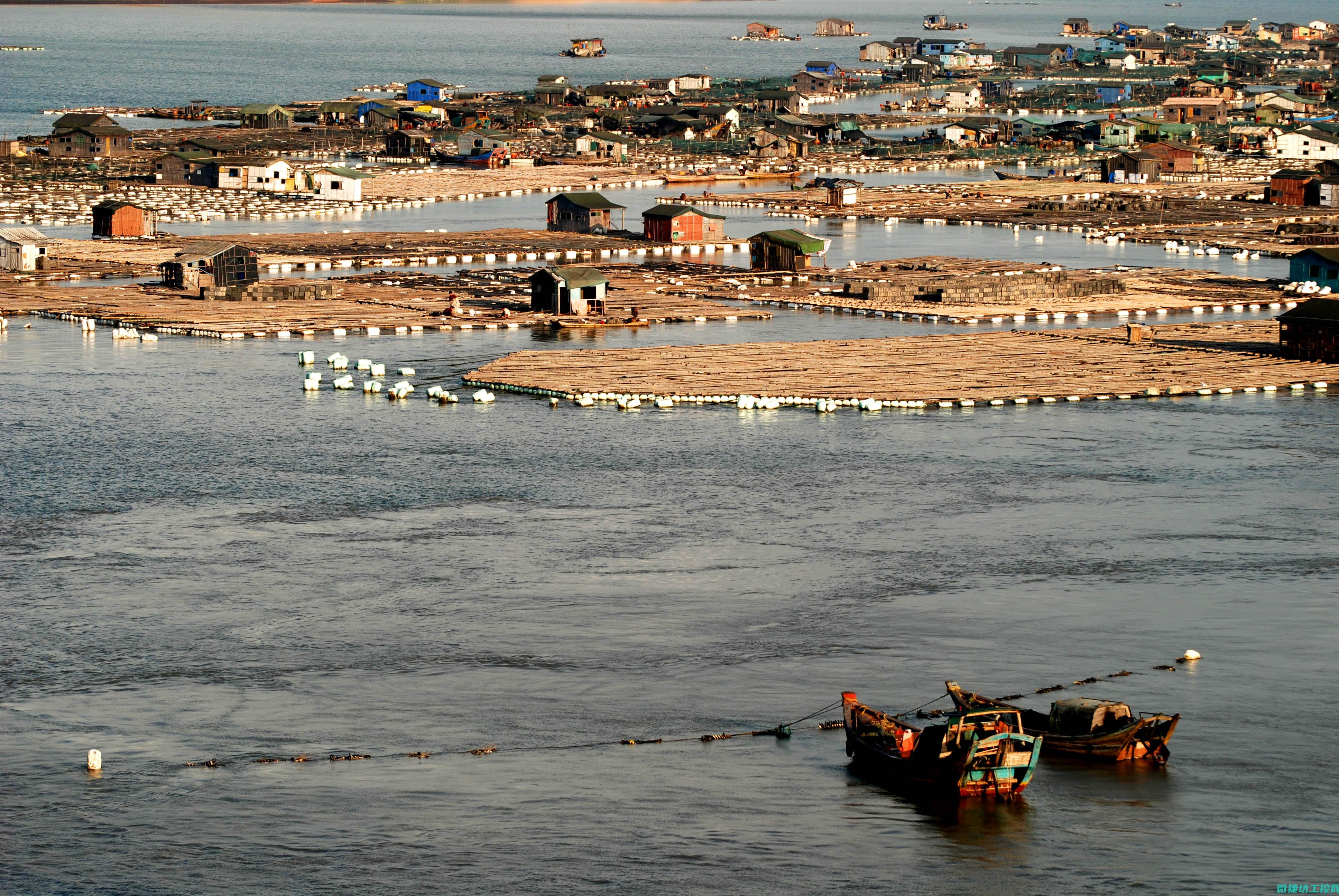 霞浦排档