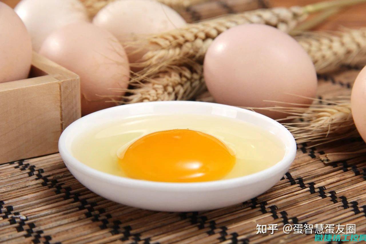 蛋黄乳酪菜谱 (蛋黄乳酪是啥)