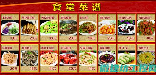 菜谱鸭肉做法 (鸭肉做法大全菜谱大全)