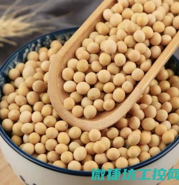 芽豆菜谱 (豆芽菜的菜谱)