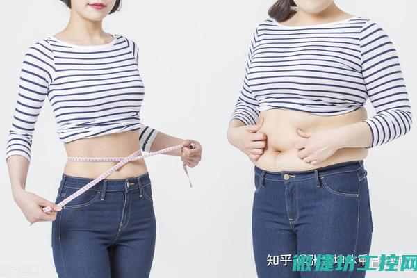 减肥早晨菜谱 (减肥简单早餐食谱大全)