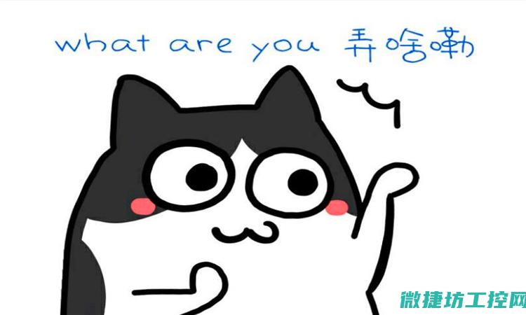 什么是ELUO故障码？ (什么是鹅卵石)