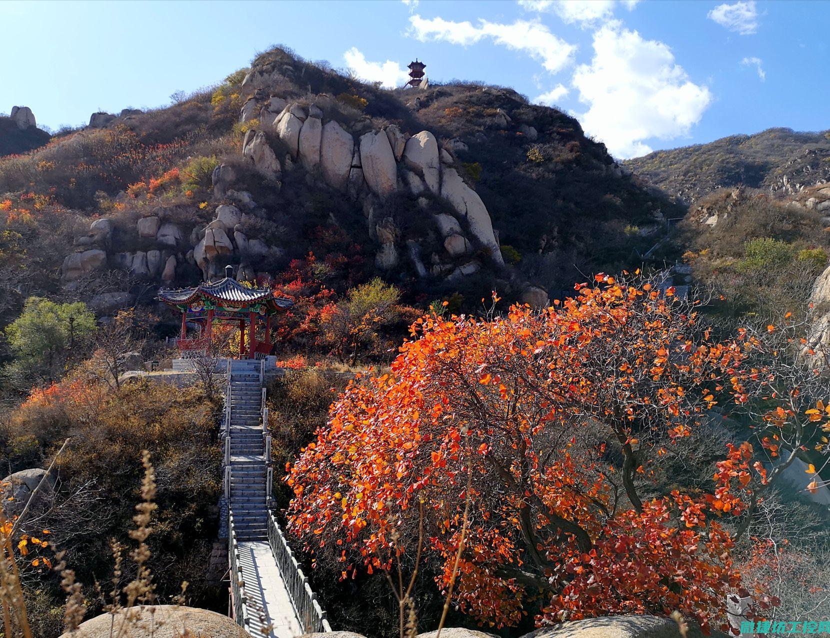 景区饭店菜谱 (景区主题餐厅)