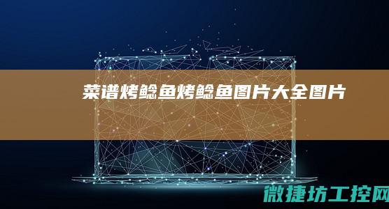 菜谱烤鲶鱼 (烤鲶鱼图片大全 图片)