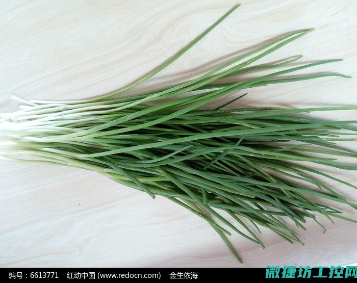 小葱食物菜谱 (小葱怎么吃营养最好)