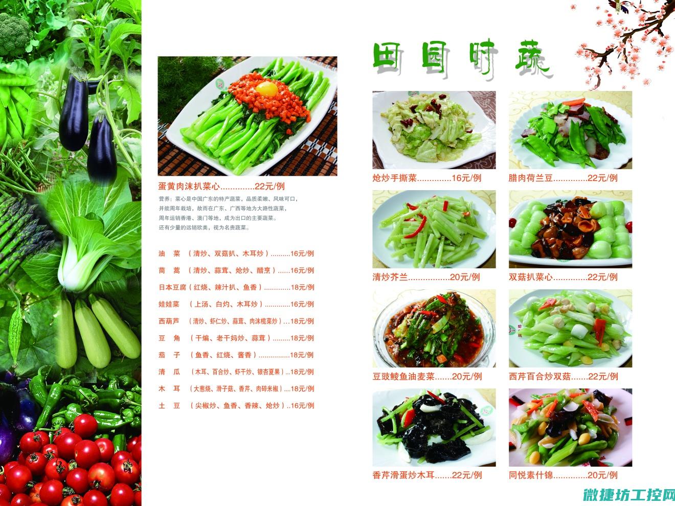嘎嘎屋里菜谱 (怎样做嘎嘎汤)