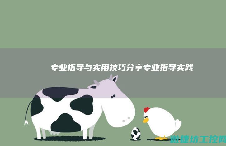 指导与实用技巧分享指导实践