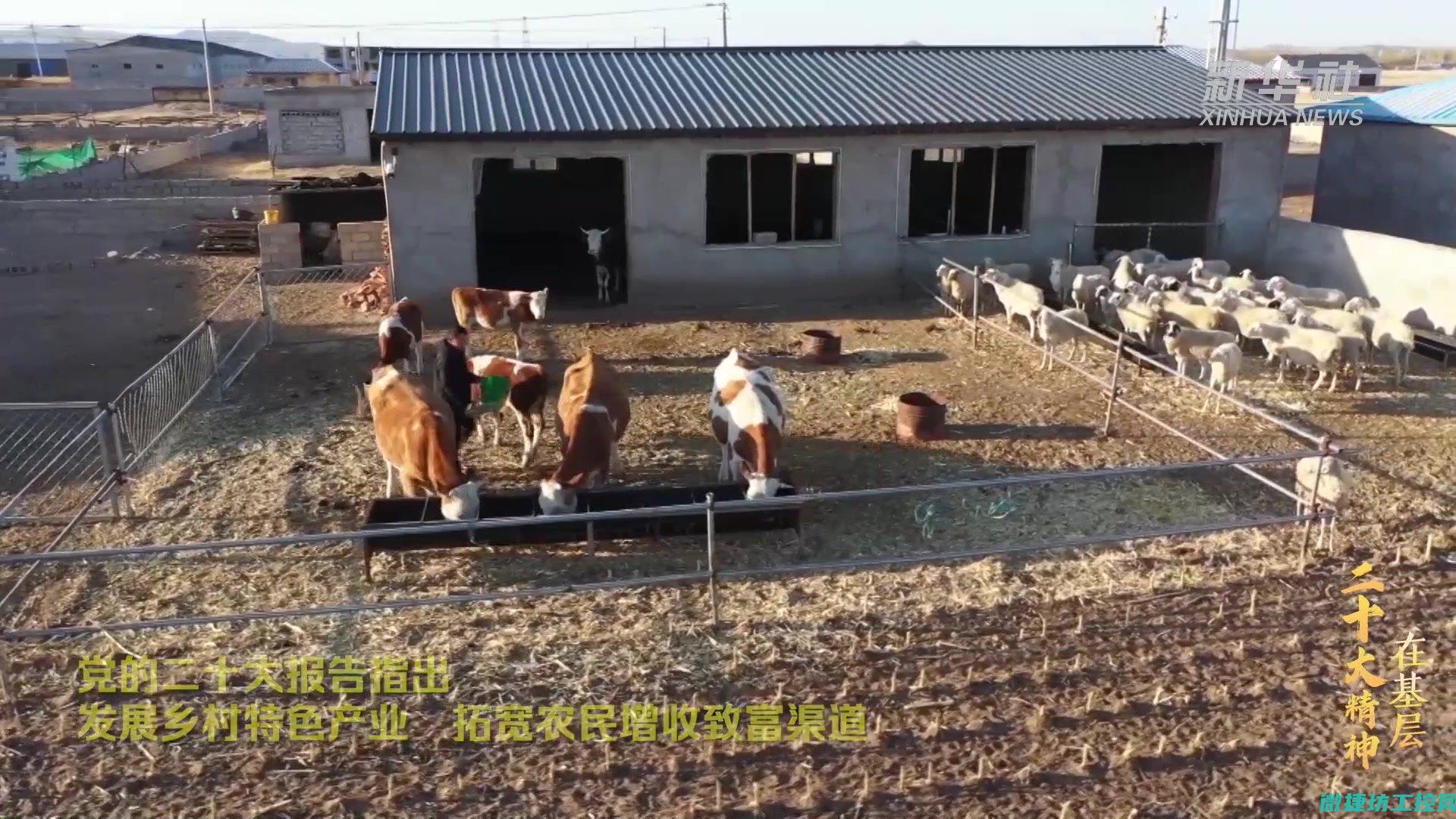 全面苹果器故障代码大全