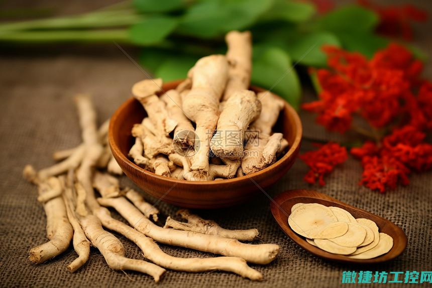 滋补菜谱图片 (滋补的食谱)