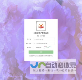 大夜班客户管理系统