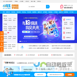 小码王