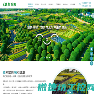 园林绿化