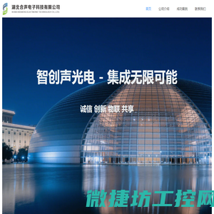 湖北合声电子科技有限公司