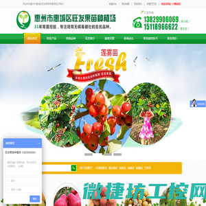 果苗