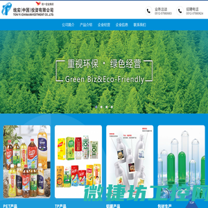 统实(中国)投资有限公司