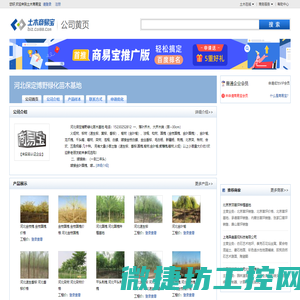 河北保定博野绿化苗木基地