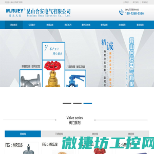 瑞光凡而,m.ruey,mruey,瑞光阀门,台湾瑞光,台湾瑞光阀门,昆山合安电气有限公司