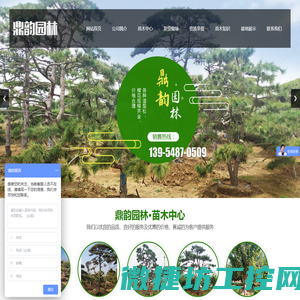 山东鼎韵园林绿化有限公司