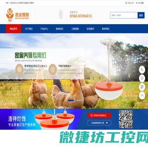 家禽灯