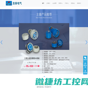 乐清友泰电气有限公司