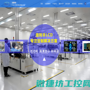 信利丰LCD段码屏