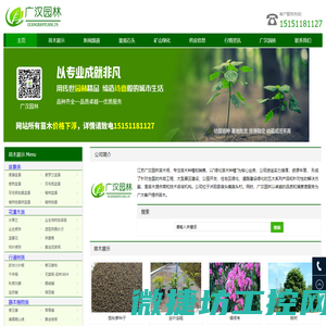 绿化苗木